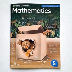 i-Ready Classroom Mathematics Grade 5 Fluency & Skills Practice Workbook 112 pg